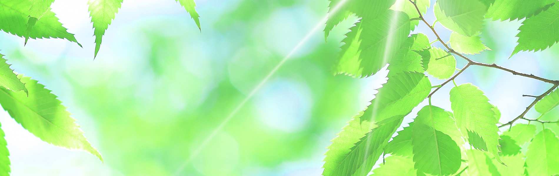 防ダニ抗菌加工？