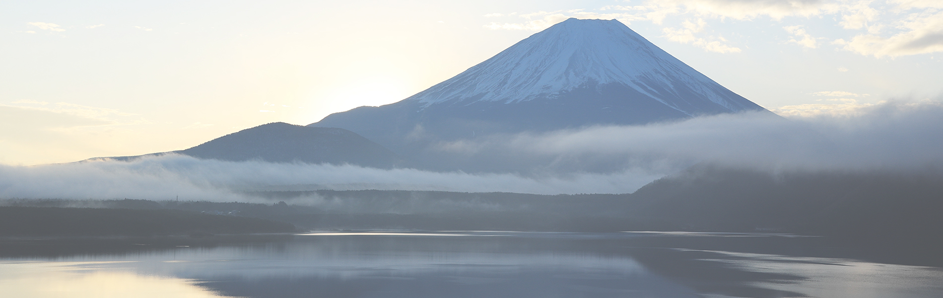 防ダニ抗菌加工？