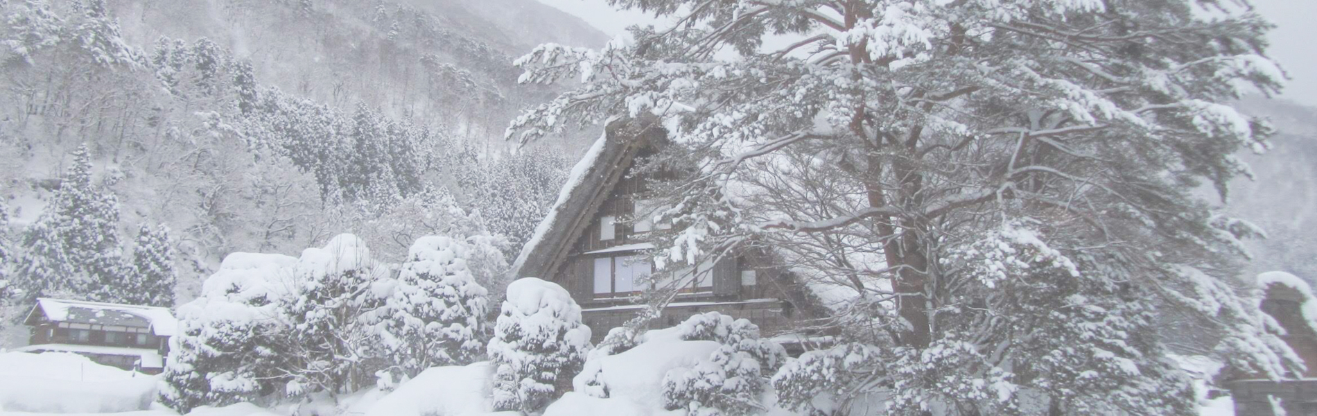 おふとん丸洗いしませんか？